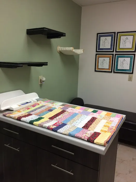 Adel Veterinary Clinic Picture 2