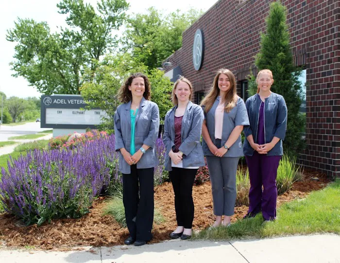 Adel Veterinary Clinic Picture 7