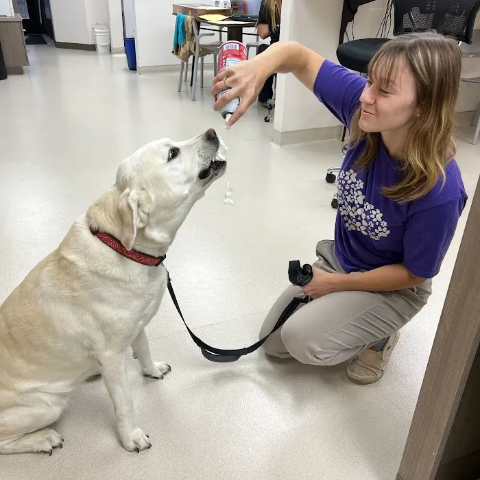 Adel Veterinary Clinic Picture 9