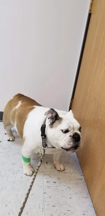 Broderick Animal Clinic Picture 1