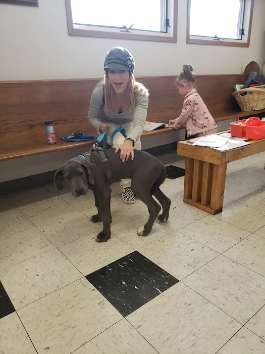 Broderick Animal Clinic Picture 7