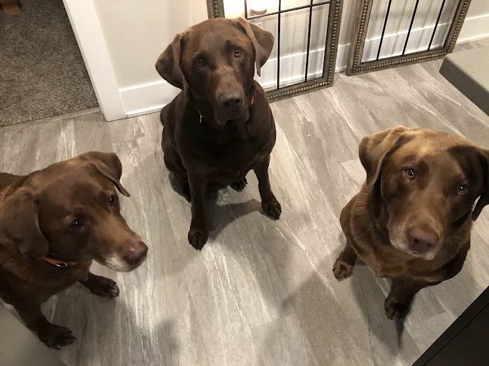 Broderick Animal Clinic Picture 6