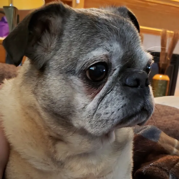 Broderick Animal Clinic Picture 8