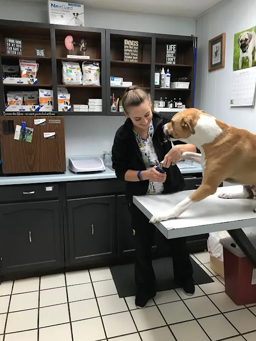 Animal Health Center of Ottumwa Picture 10
