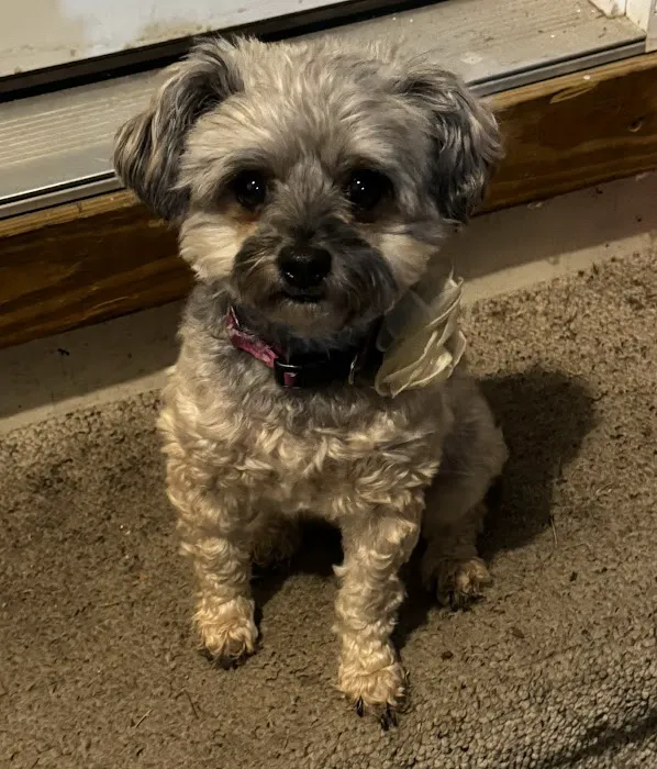 Tallman Jan R DVM Picture 1