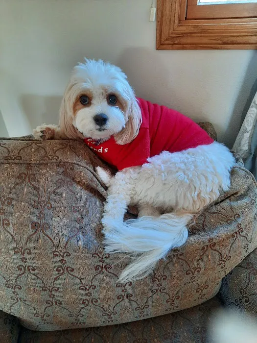 Eastview Animal Hospital Picture 1