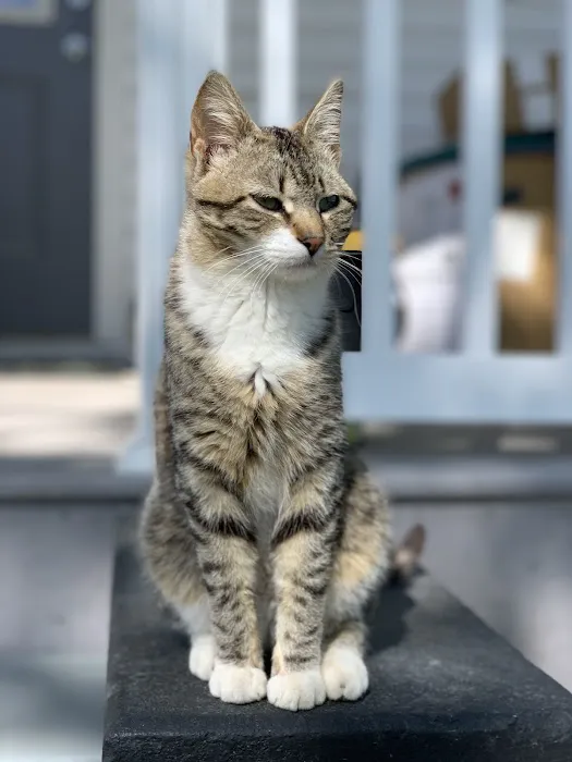 Eastview Animal Hospital Picture 4