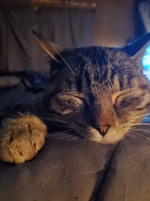 Eastview Animal Hospital Picture 5