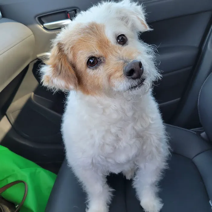 Eastview Animal Hospital Picture 7