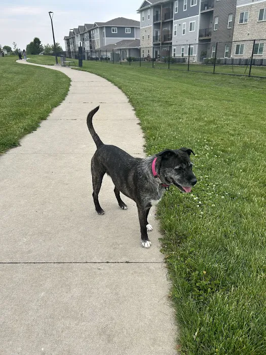 Eastview Animal Hospital Picture 9