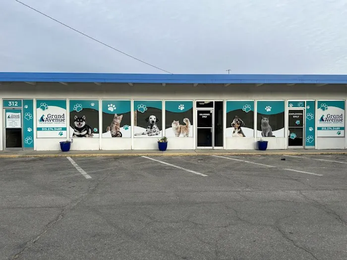 Grand Avenue Veterinary Hospital Picture 4