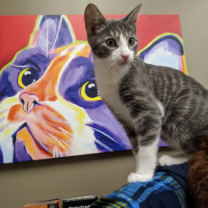 Grand Avenue Veterinary Hospital Picture 3