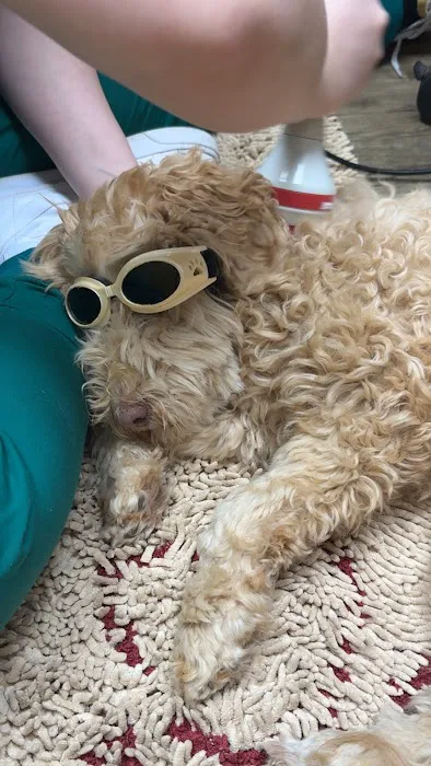 Grand Avenue Veterinary Hospital Picture 2