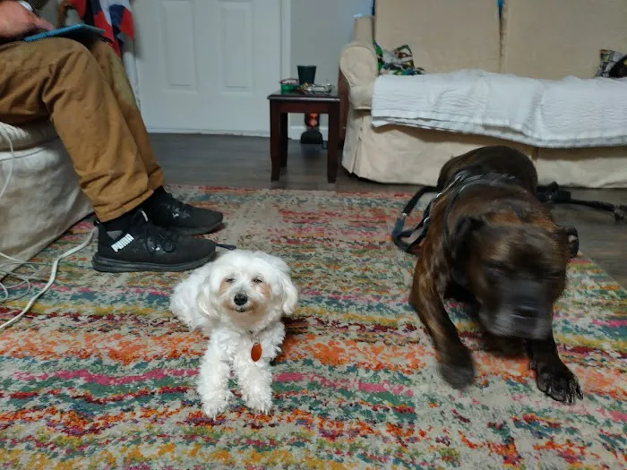 Grand Avenue Veterinary Hospital Picture 7