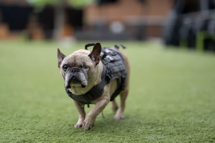 Animal Doctors Veterinary Clinic Picture 3