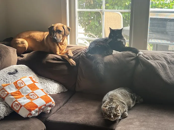 Animal Doctors Veterinary Clinic Picture 7