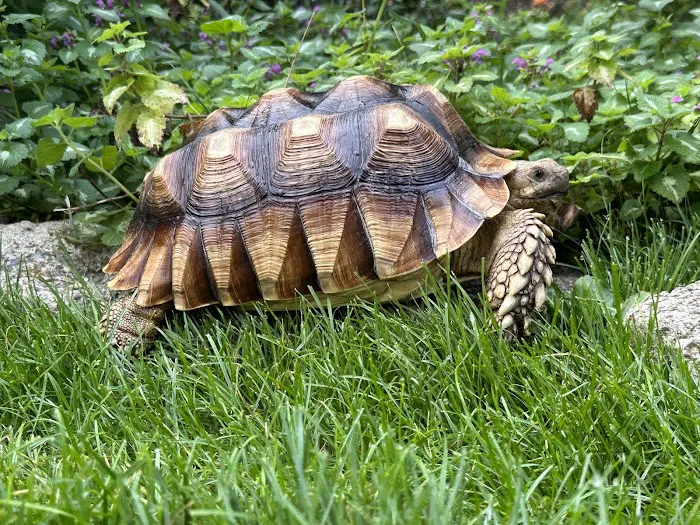 Animal Doctors Veterinary Clinic Picture 6