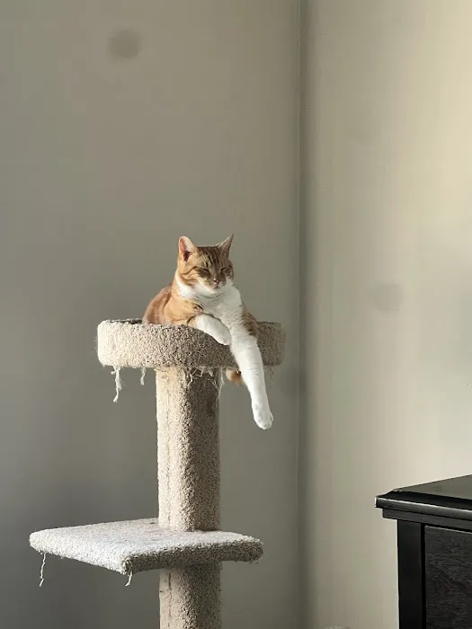 Animal Doctors Veterinary Clinic Picture 8