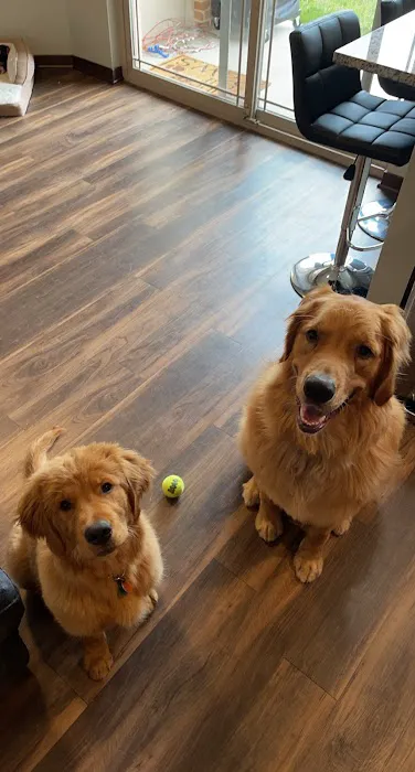 Animal Doctors Veterinary Clinic Picture 10