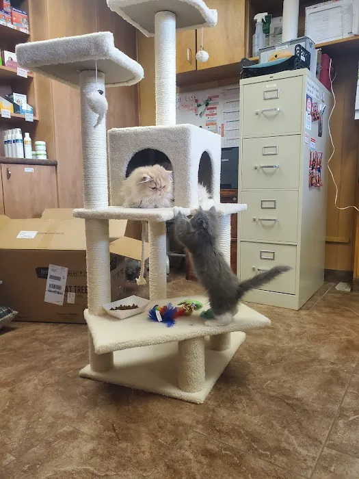 Family Pet Veterinary Center Picture 4