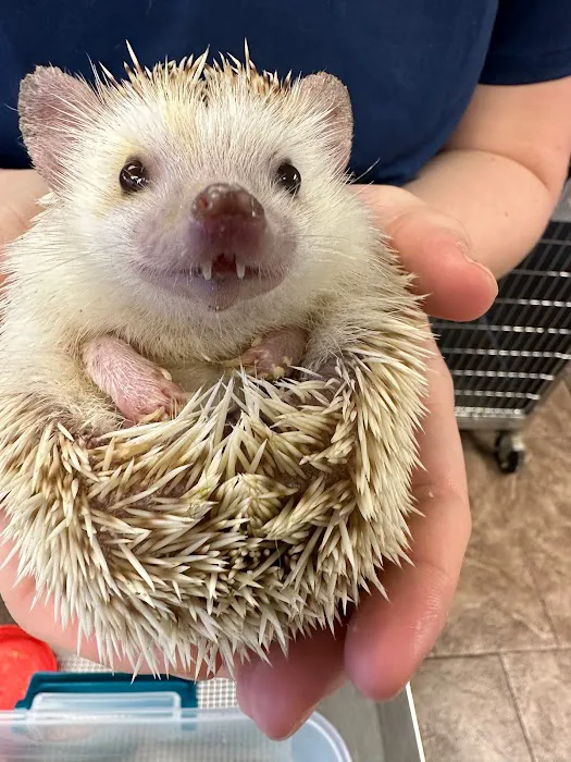 Family Pet Veterinary Center Picture 6