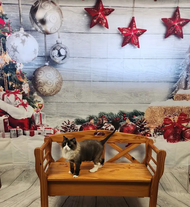 Family Pet Veterinary Center Picture 7