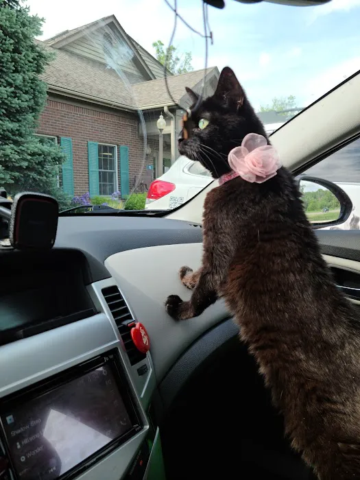 Jordan Creek Animal Hospital Picture 4