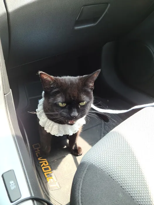 Jordan Creek Animal Hospital Picture 3