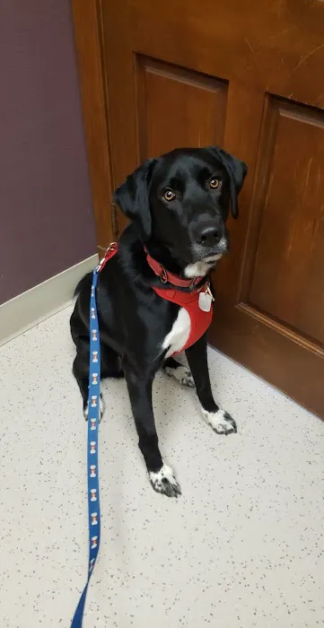 Jordan Creek Animal Hospital Picture 7