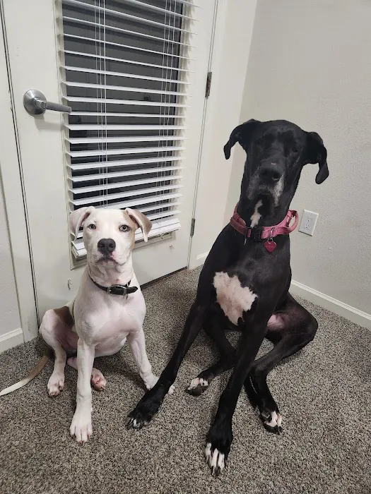 Jordan Creek Animal Hospital Picture 9