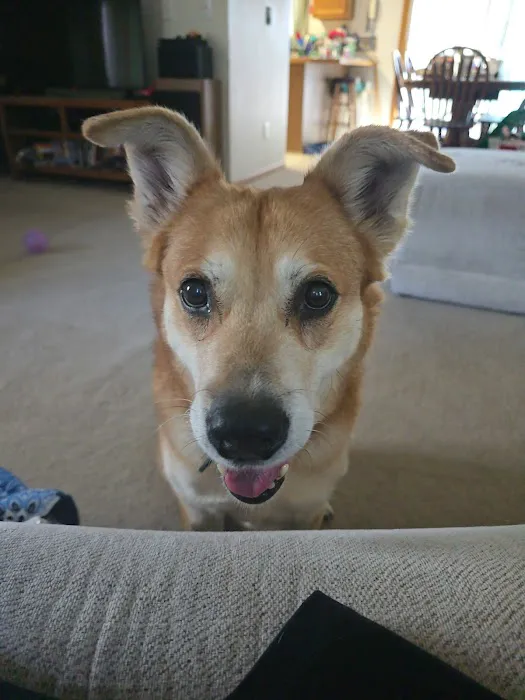 Jordan Creek Animal Hospital Picture 6