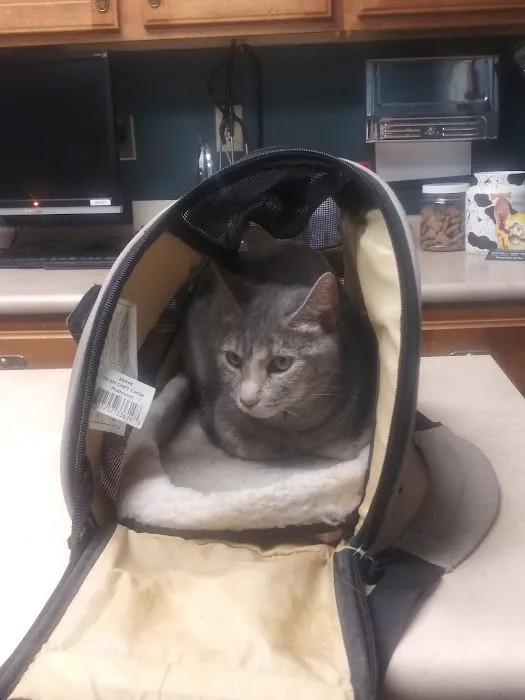 Jordan Creek Animal Hospital Picture 8