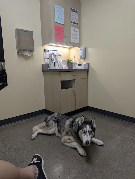 Vetco Total Care Animal Hospital Picture 4