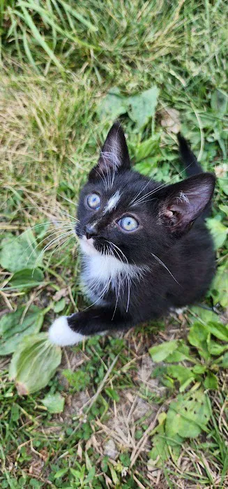 Vetco Total Care Animal Hospital Picture 5