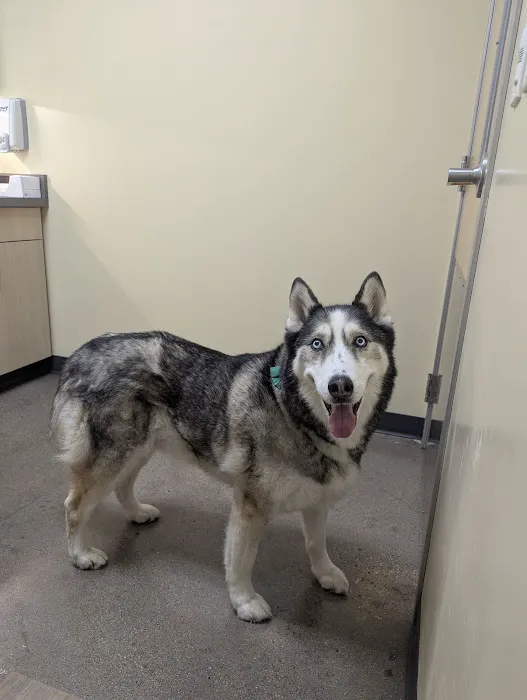 Vetco Total Care Animal Hospital Picture 2