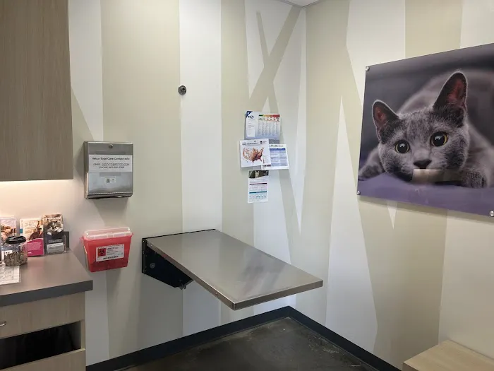Vetco Total Care Animal Hospital Picture 6