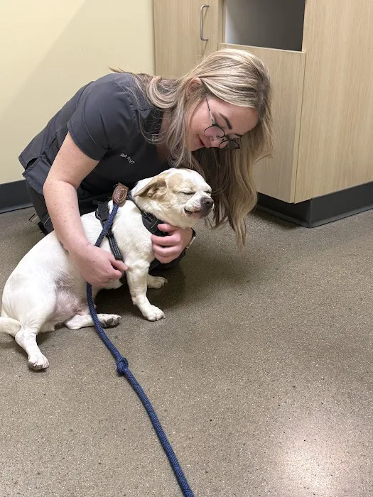 Vetco Total Care Animal Hospital Picture 9