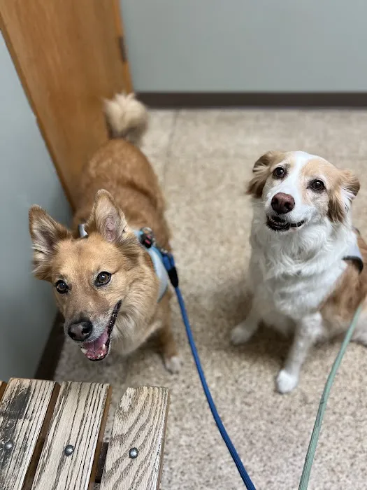 University West Pet Clinic Picture 2