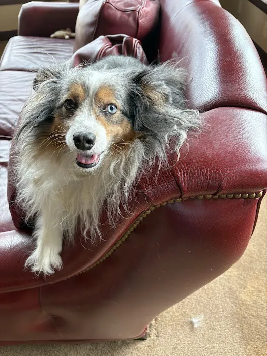 University West Pet Clinic Picture 1