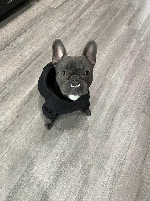 University West Pet Clinic Picture 4