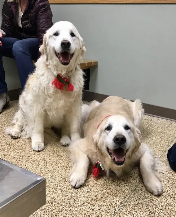 University West Pet Clinic Picture 8