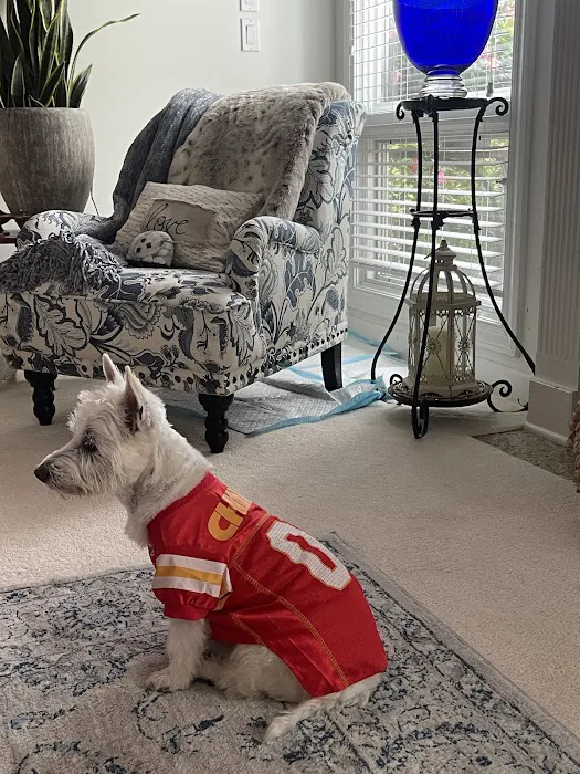 University West Pet Clinic Picture 7