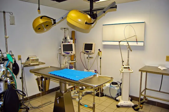 Animal Care Clinic West & Metro Cat Hospital Picture 2