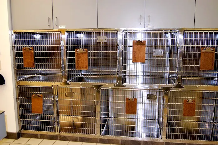 Animal Care Clinic West & Metro Cat Hospital Picture 3