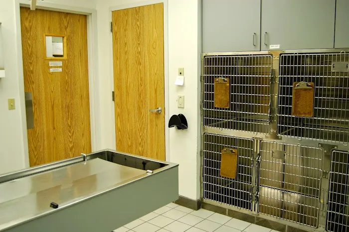 Animal Care Clinic West & Metro Cat Hospital Picture 9