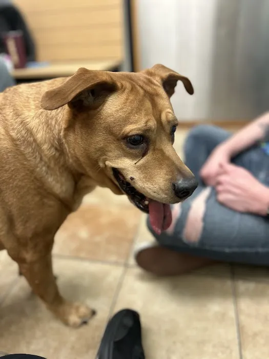 Banfield Pet Hospital Picture 1