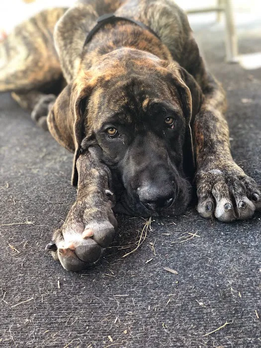 Banfield Pet Hospital Picture 5