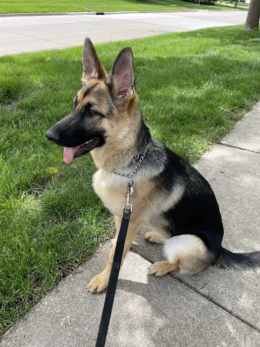 Banfield Pet Hospital Picture 4