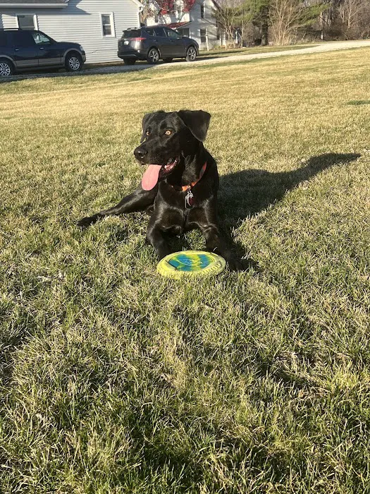 Banfield Pet Hospital Picture 7