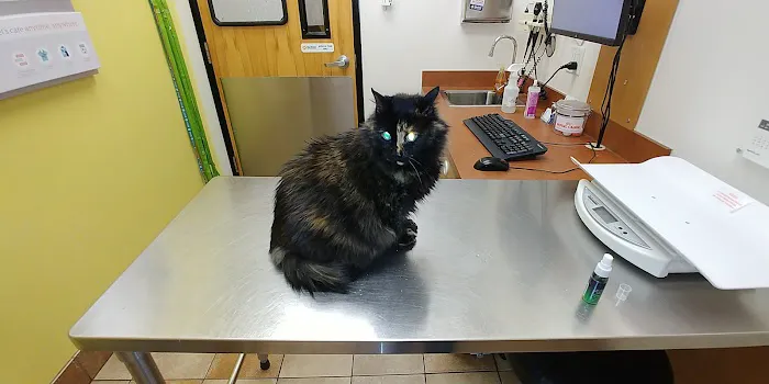 Banfield Pet Hospital Picture 6